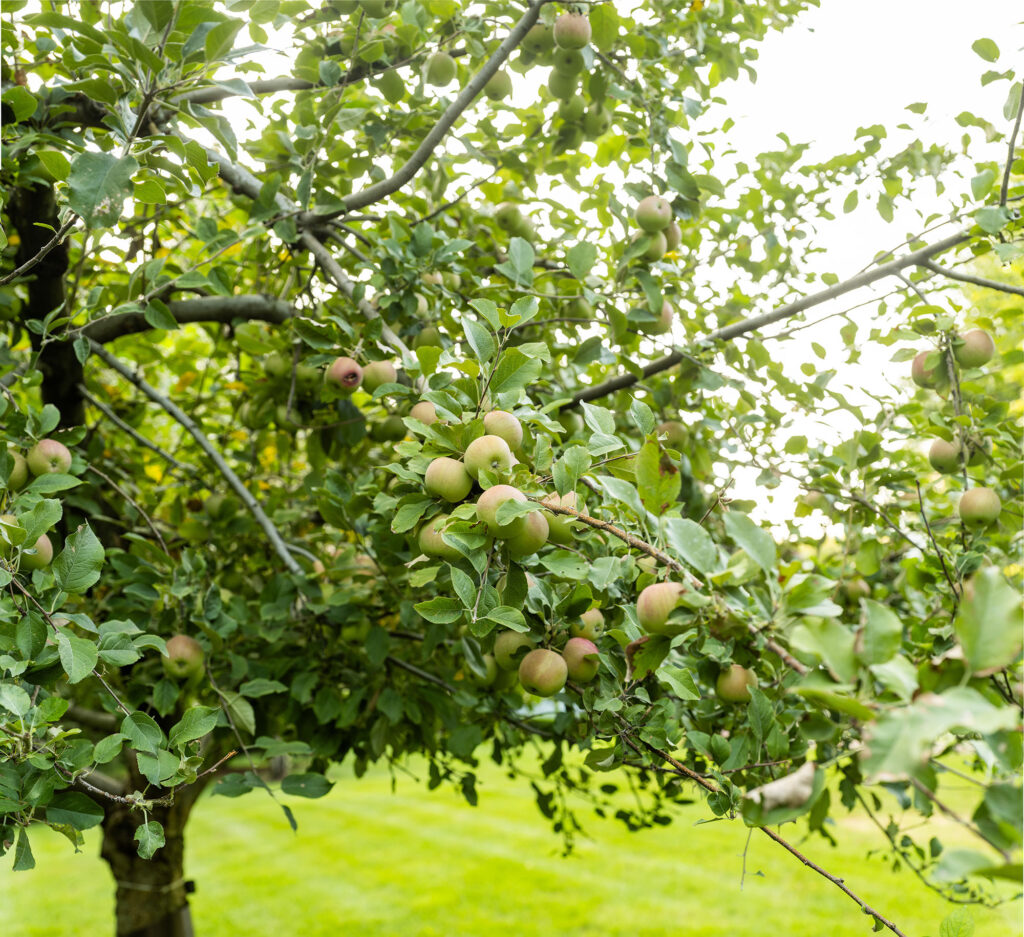 丨Janice Parker Landscape Architects-10