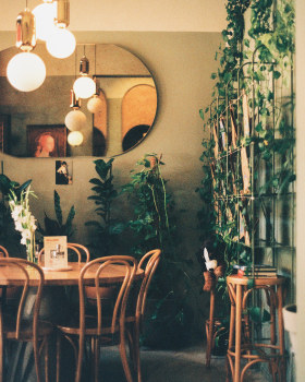 green meeting the city // 35mm film