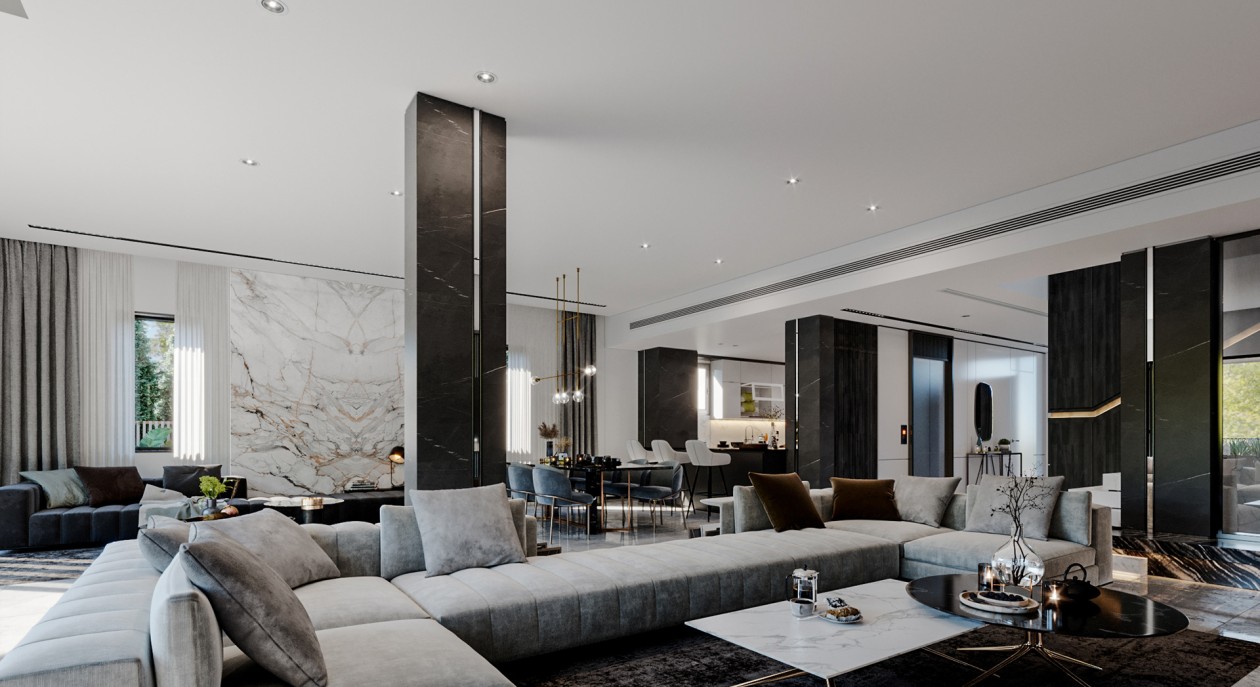 鲜明的线条与中性元素 创造出精致的室内空间-0