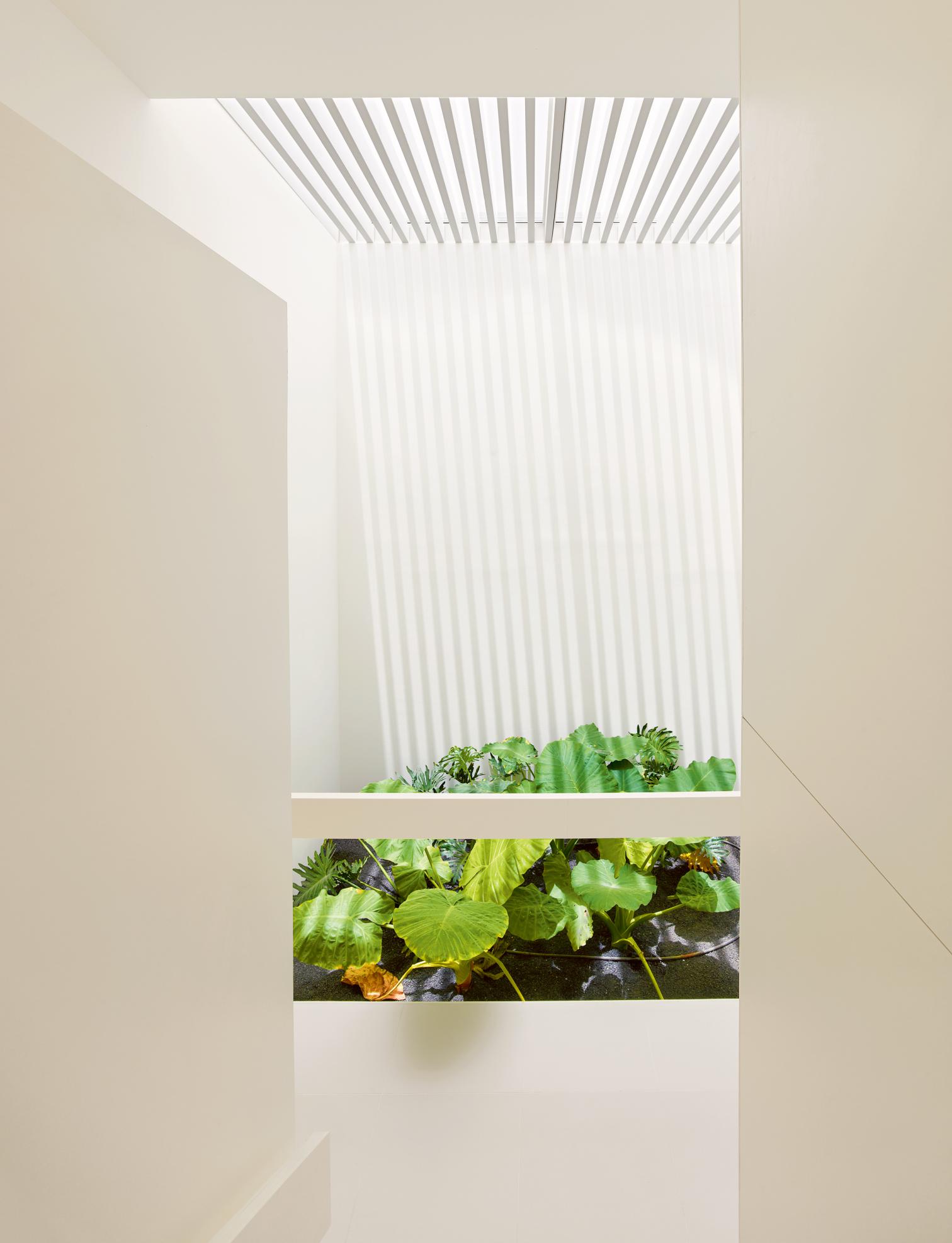 火山之家 · 线性光影的展览空间-14