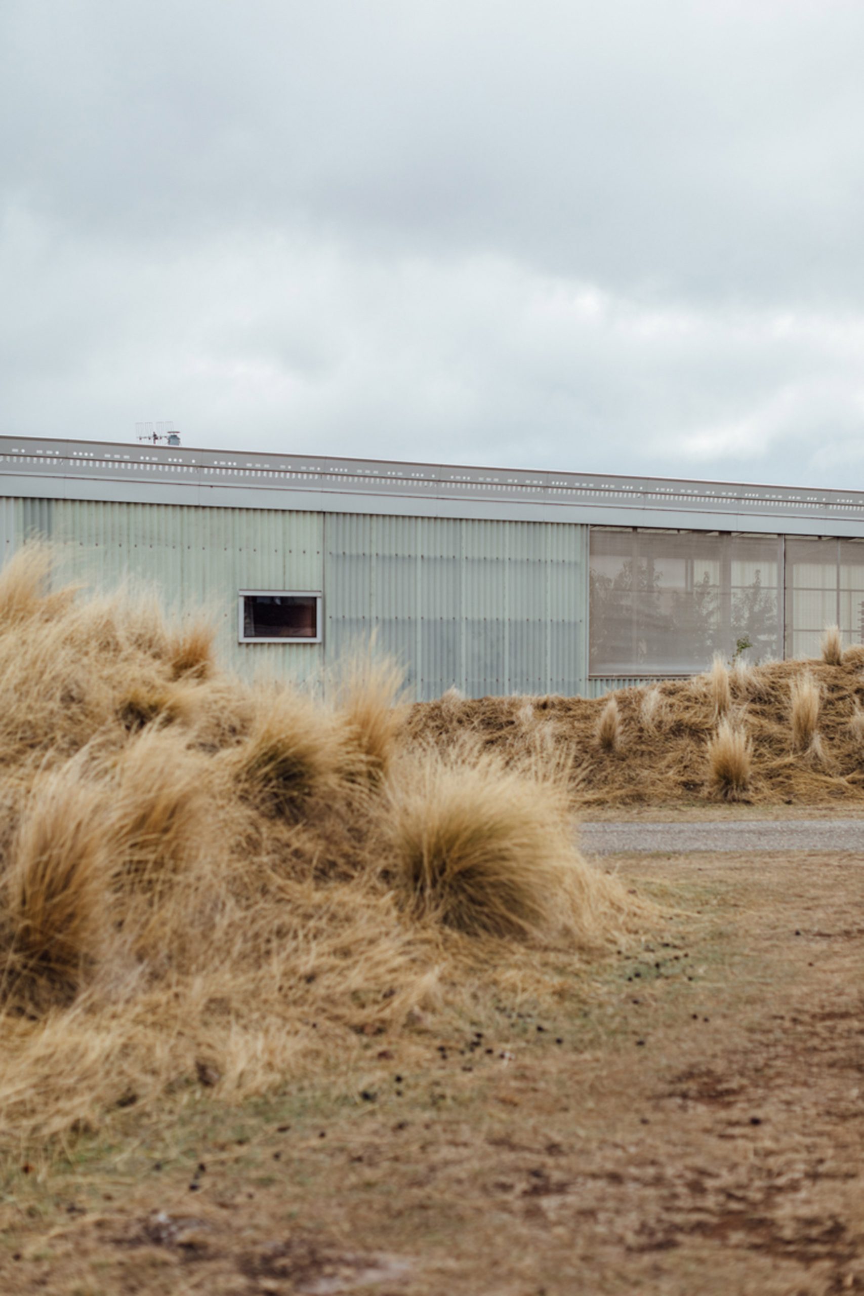 澳大利亚林地里的百米长屋-4