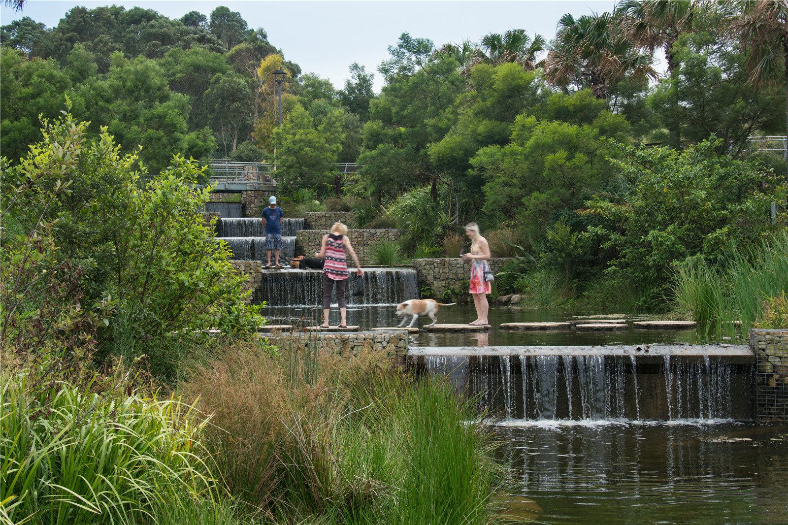 悉尼公园丨澳大利亚丨Turf Design Studio-30