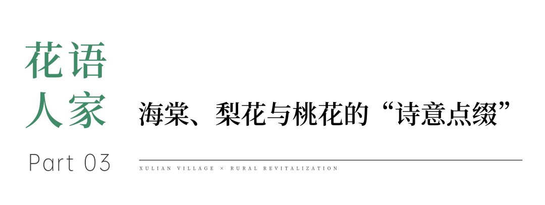 境作|恋“练”春光，“宝藏”踏青地：青浦徐练村，有多好逛？-53