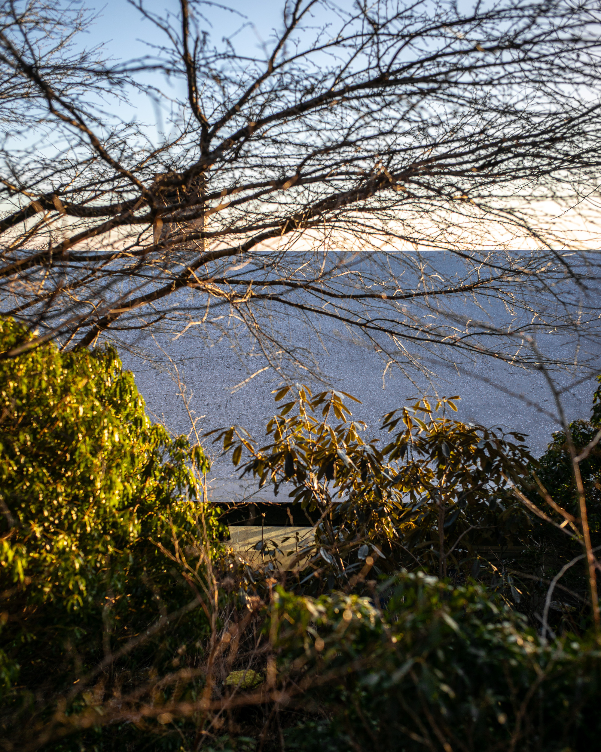 丨日本丨Florian Busch Architects-34