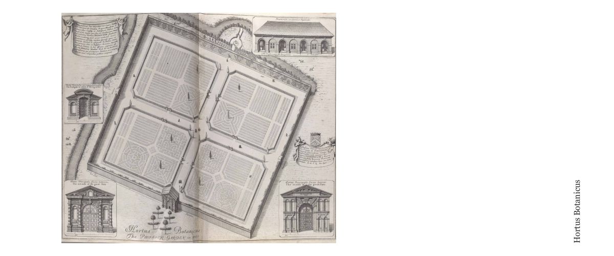 Urban Development of the NAGREF competition (3rd prize) - object-e.net-5