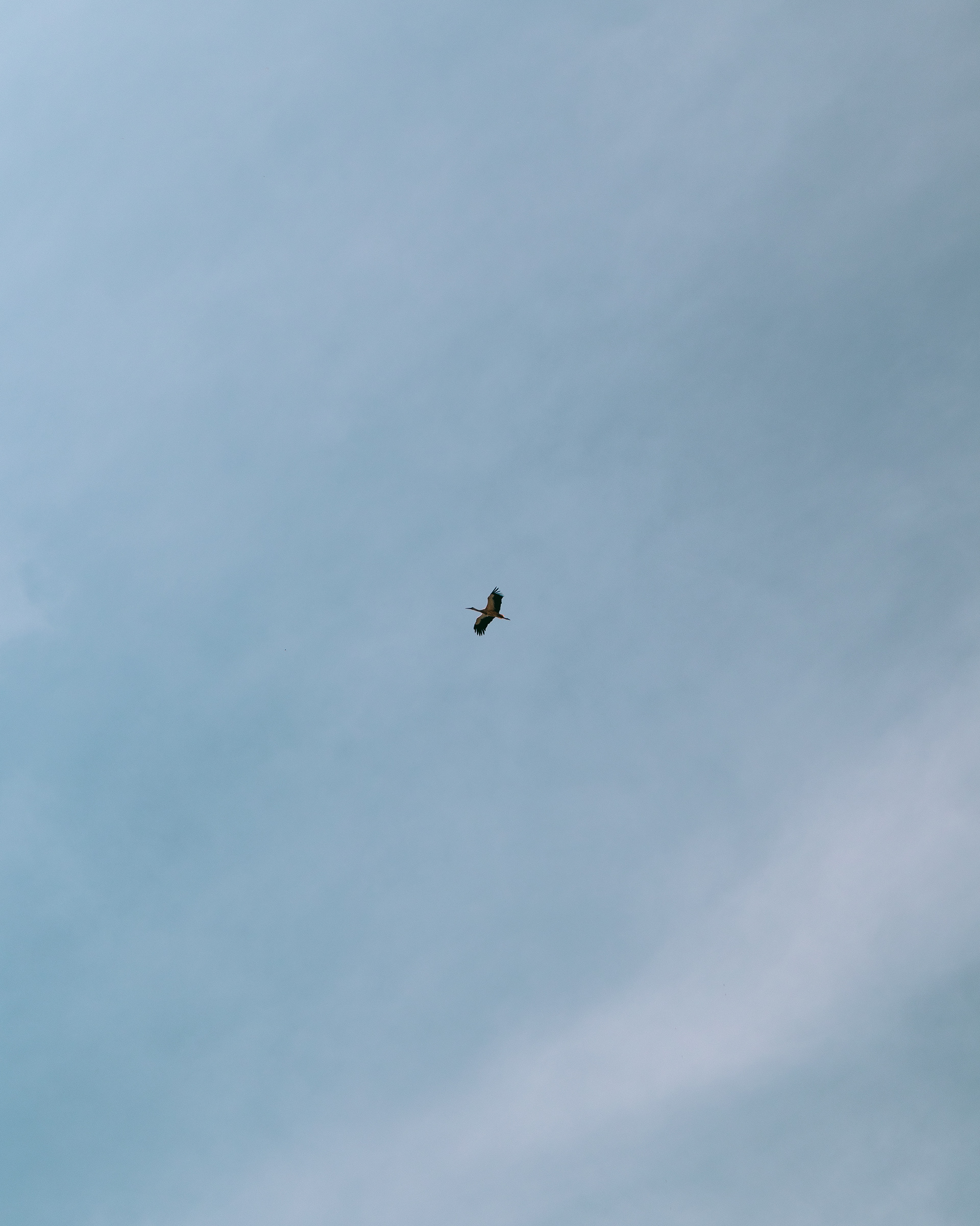 Hey, Go Out To The Schoolyard And Take a Break-6