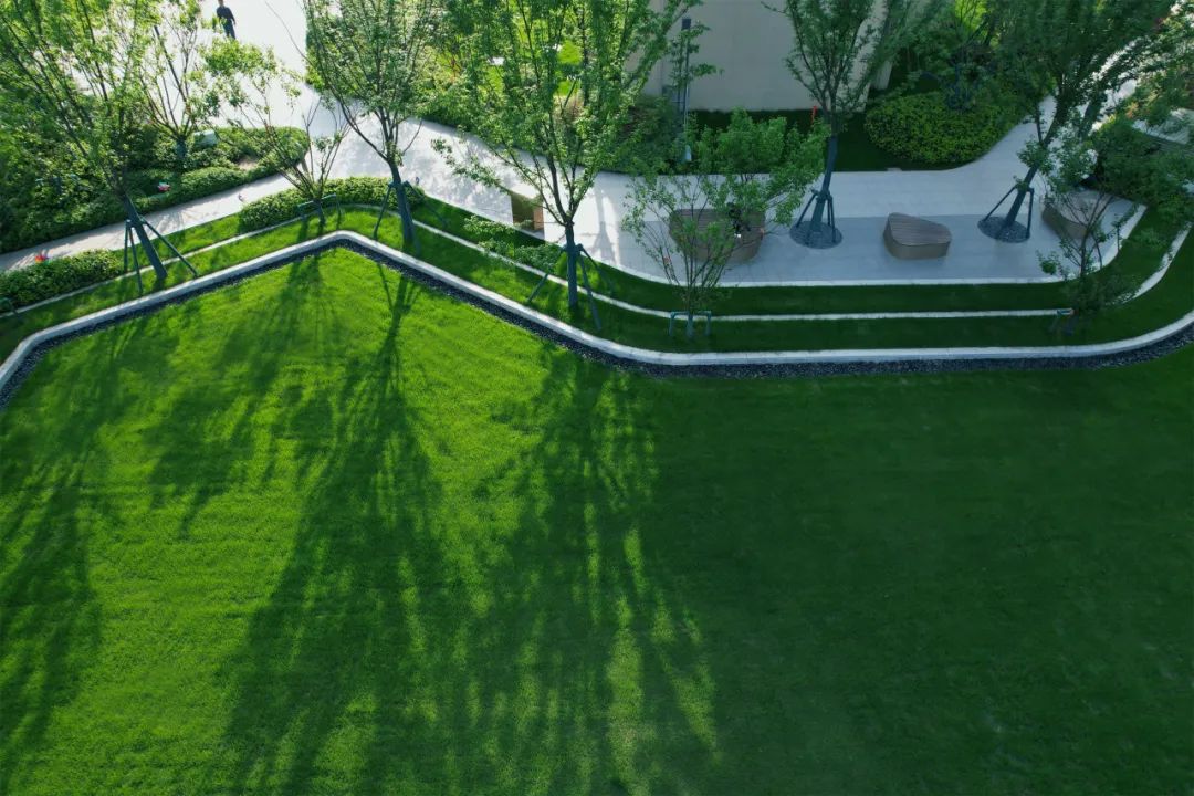 合肥远洋星悦丨中国合肥丨北京远洋景观规划设计院有限公司-33