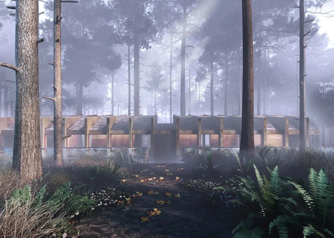 皮纳尔之家丨墨西哥丨V Taller-74