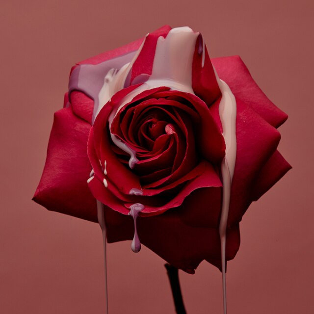 You can now buy Vicki Lee’s floral artworks online-4