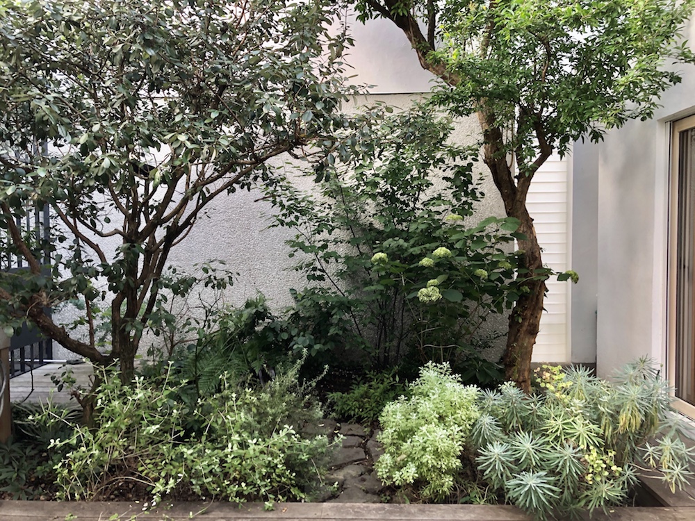 世田谷区の中庭【庭づくり事例 063】-42