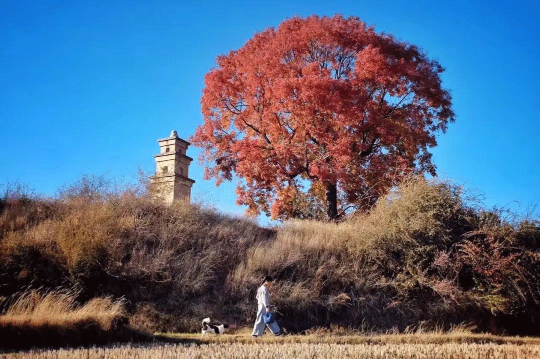 买不起房，小夫妻把牛棚改造成家，竟成300㎡大别墅还有150㎡花园菜地......-49