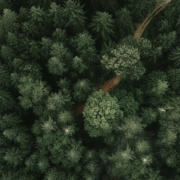 成都华润·中環天序南区丨中国成都丨澜道设计,柏涛建筑设计（北京）有限公司-6