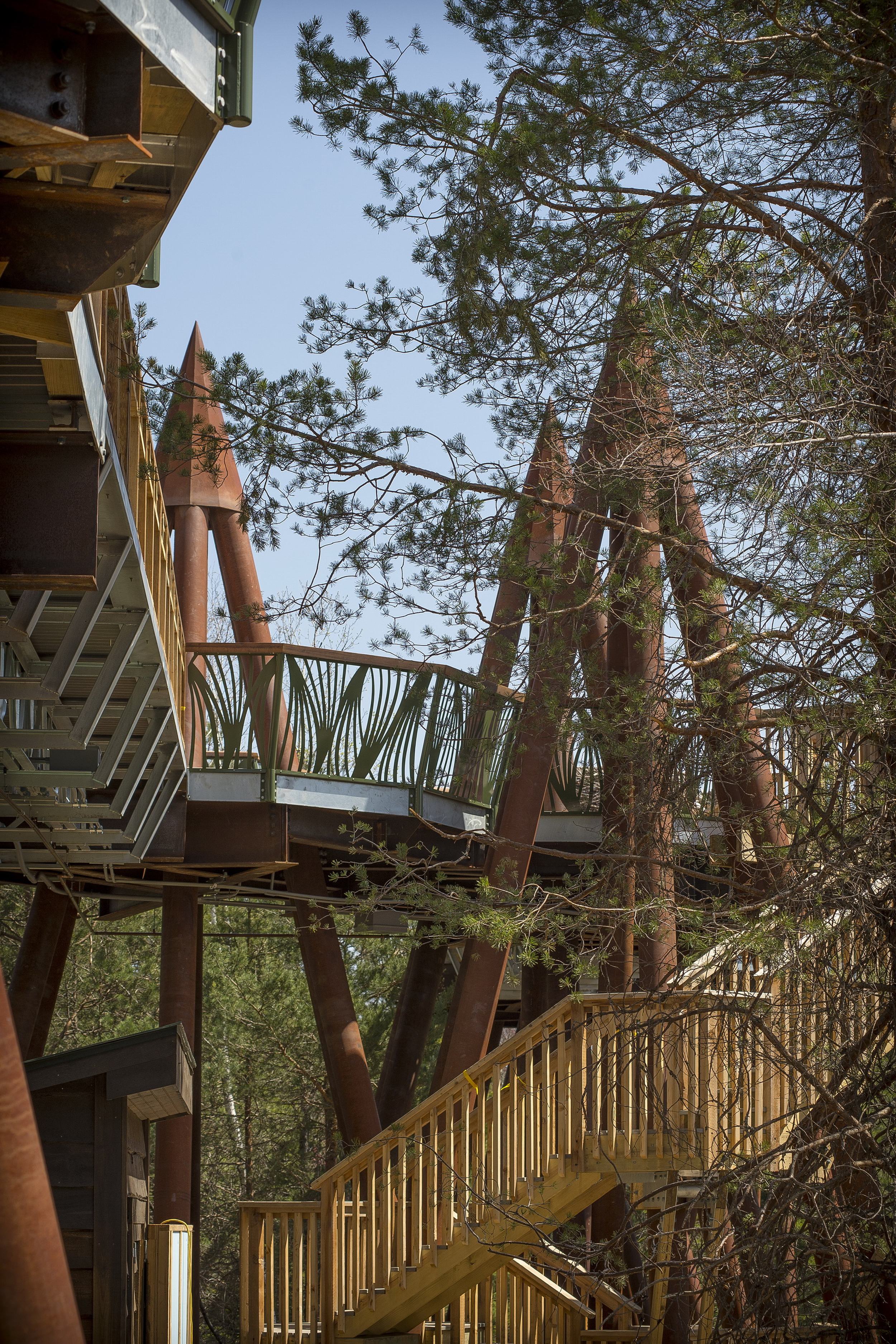 阿迪朗达克斯野生步道丨查尔斯·雷伊-8