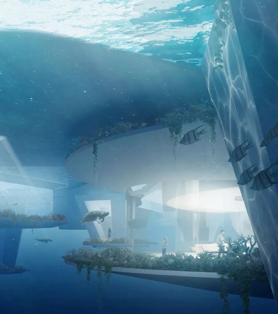 ECO 岛海岛酒店 | 自然与设计的完美融合-23