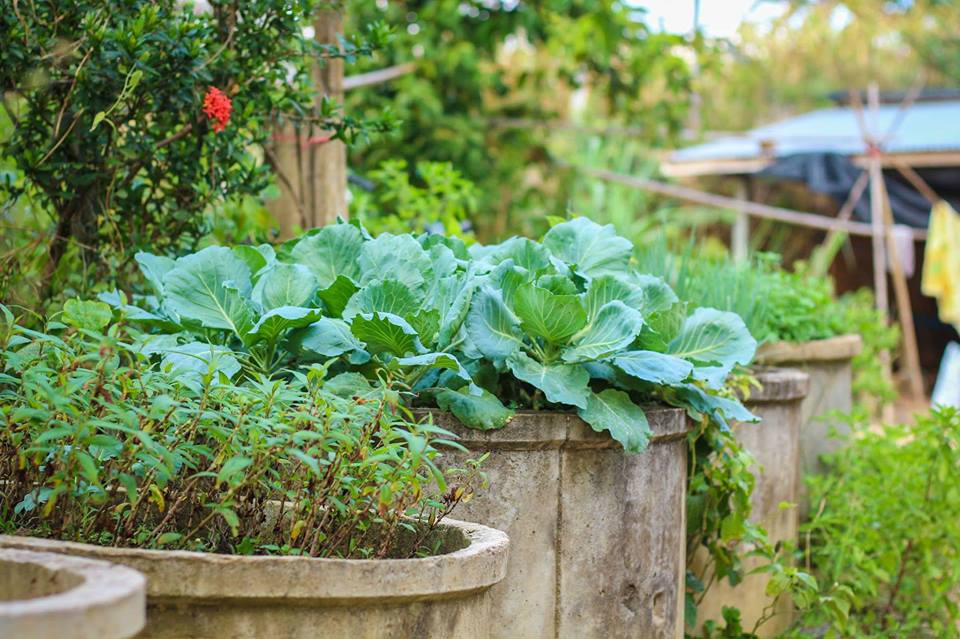 泰国传统高脚木屋民宿丨泰国素可泰-21