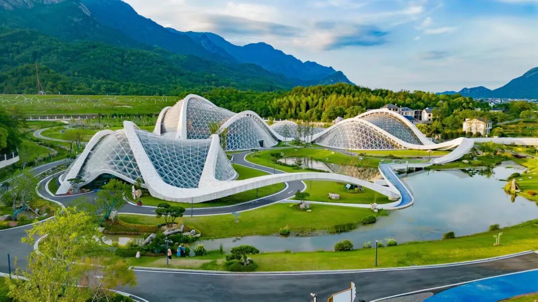 集团要闻丨庐山国家植物园建设项目获业主方高度赞扬-7