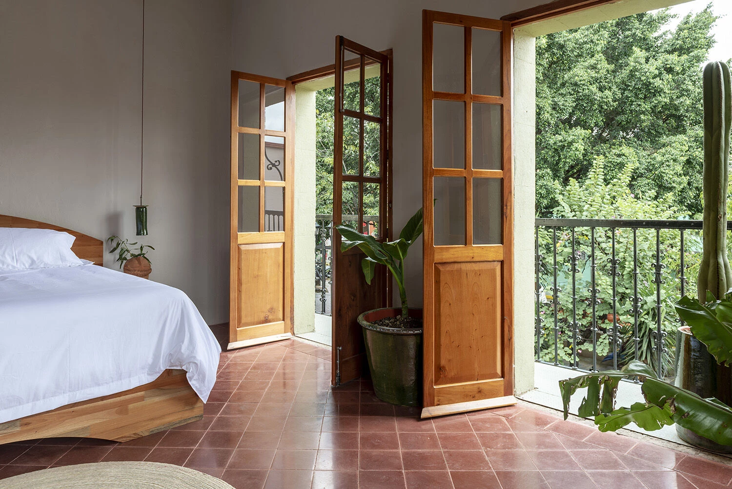 墨西哥 Oaxaca 古城中的色彩之旅——Grana BnB 酒店设计-52