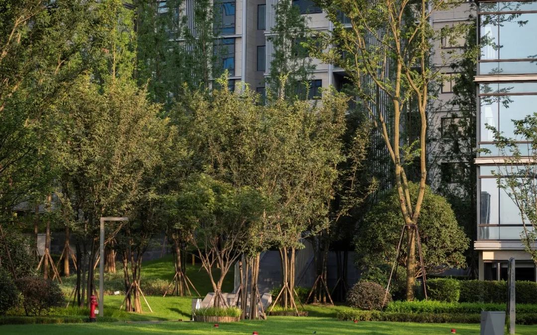 重庆龙湖·昱湖壹号大区丨中国重庆-46