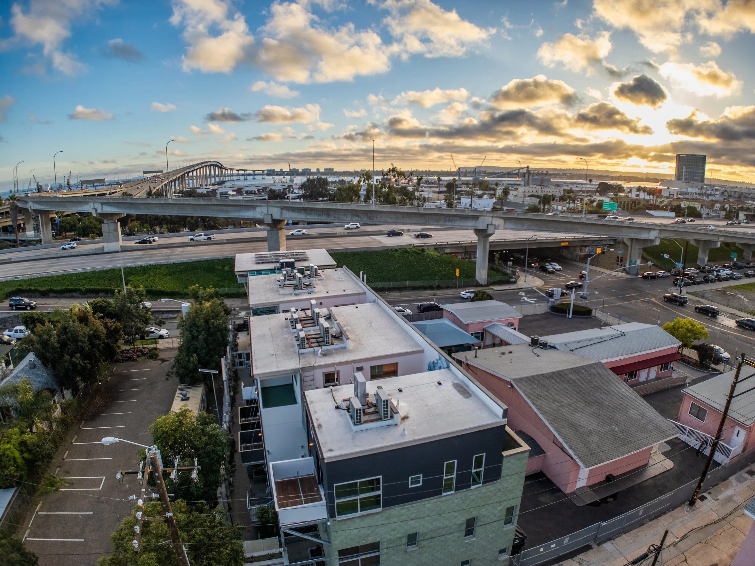 达芙妮·麦卡洛 · 圣地亚哥丨美国-17