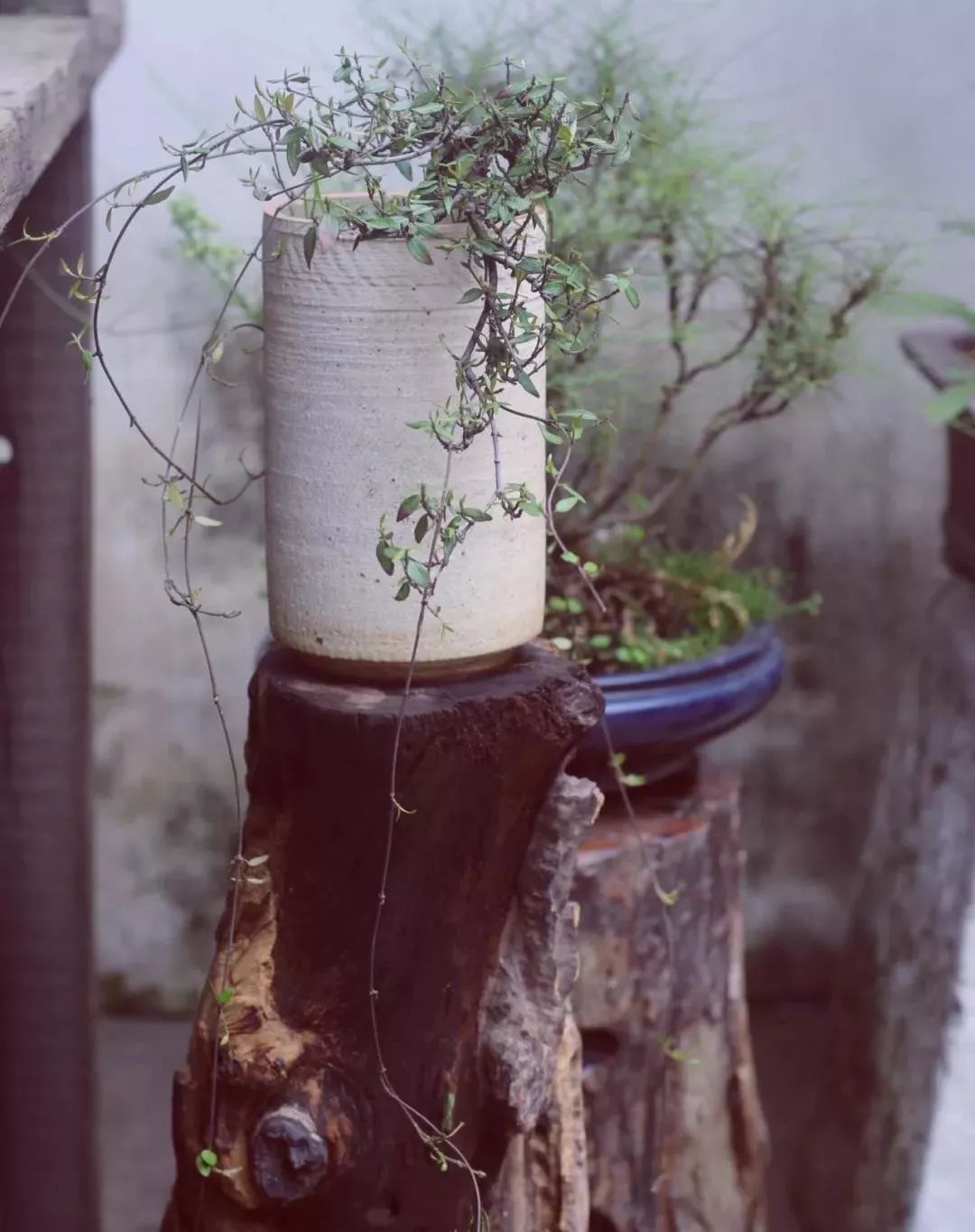 青果巷传奇松健堂，素简茶家具带来传统与现代的碰撞-40