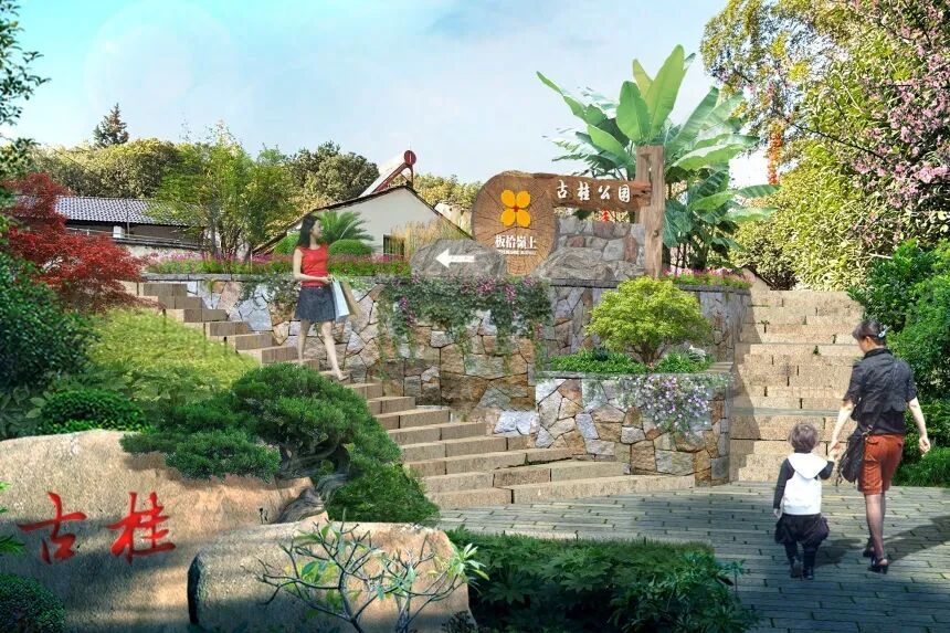 尚品|南陵县家发镇联三村和美乡村精品示范村和板石岭乡村旅游提升项目:以“桂”为核,绘就农文旅融合新图景-64