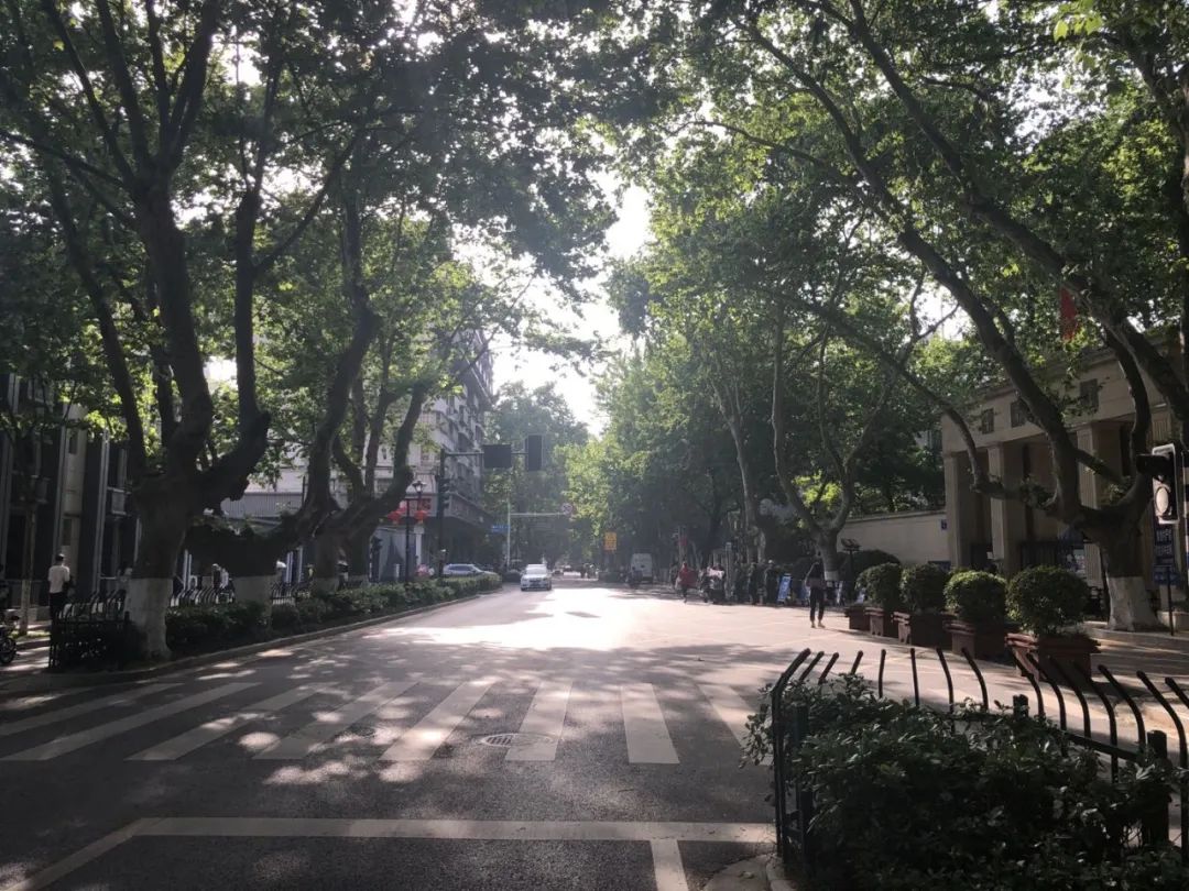 你知道吗，四牌楼南大门周边竟悄悄地换了新容-60