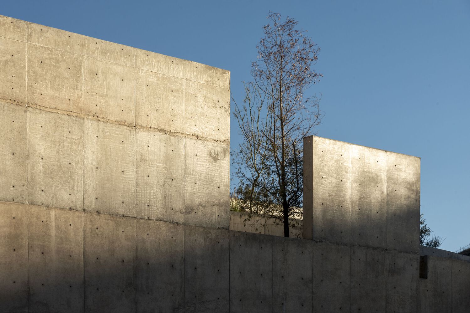 Park Pavilion 销售展示厅丨墨西哥丨MATERIA+Gustavo Carmona-15