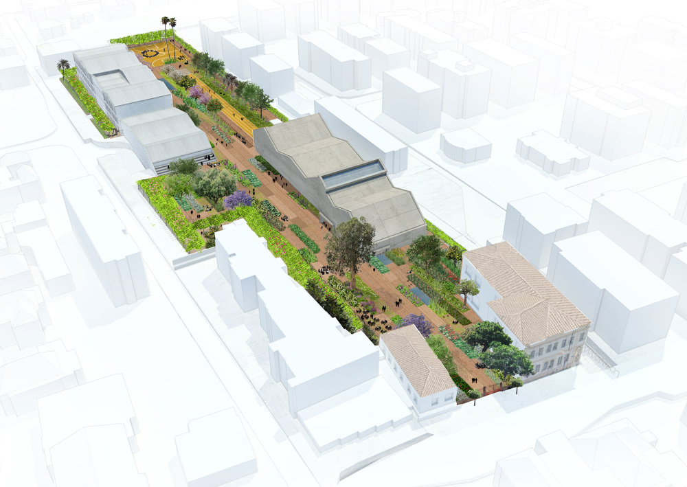 绿意盎然的语言之家·以色列里雄莱锡安“希伯来之家”-1