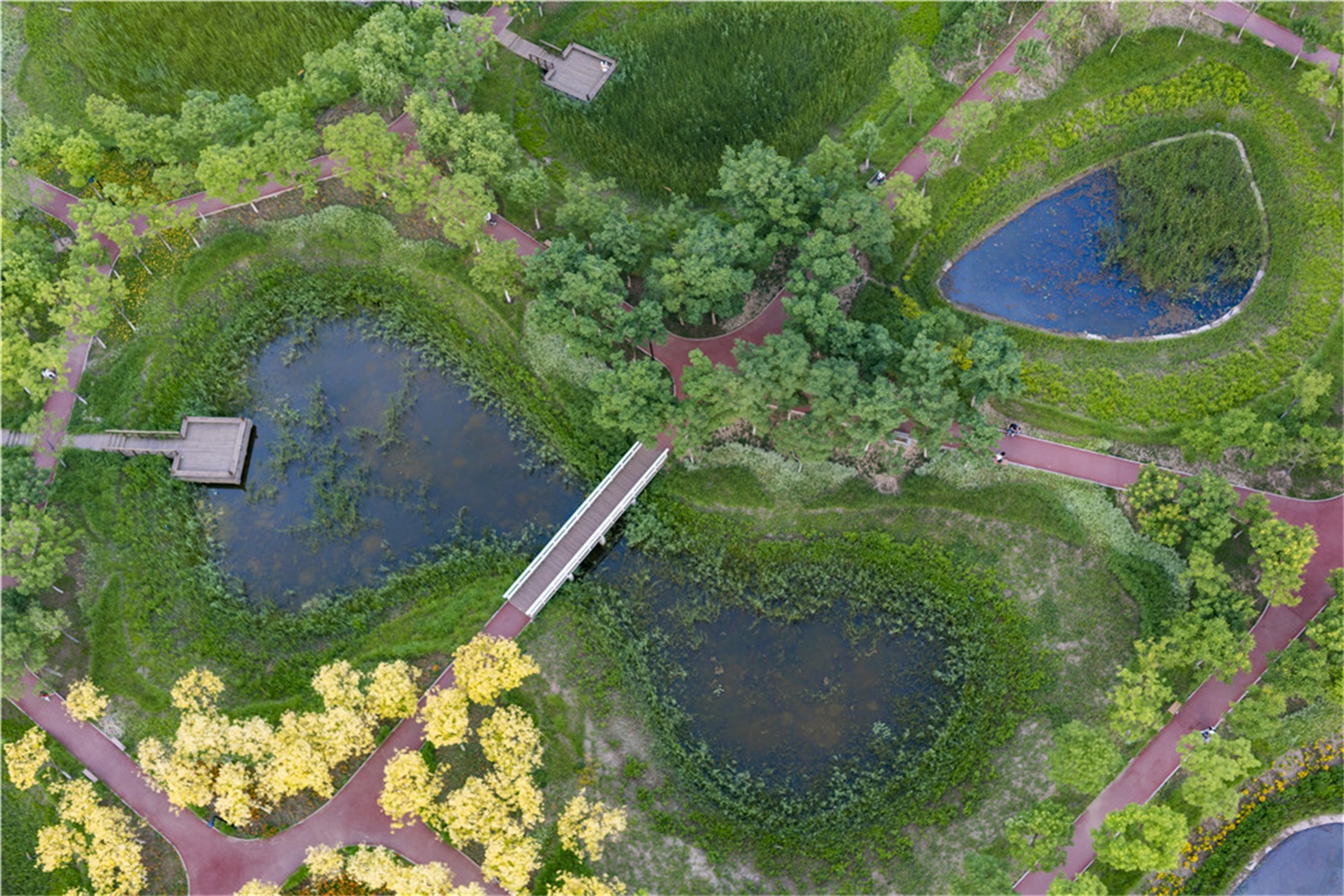 西安雁南公园（二期）丨中国西安丨土人设计（Turenscape）-186