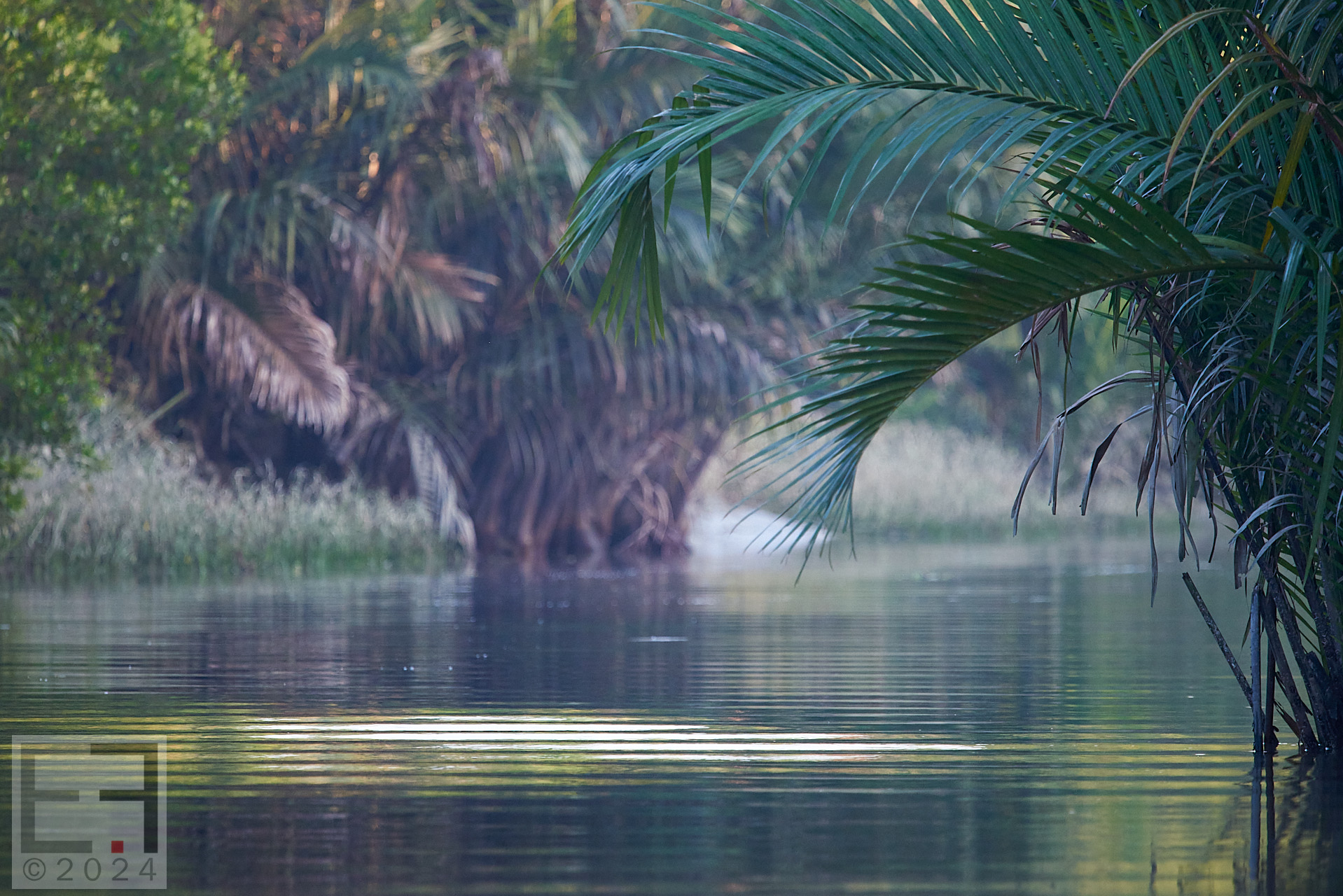 孟加拉国孙德尔本斯红树林保护与开发-17