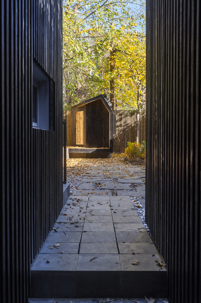 纽约布鲁克林自然景观别墅扩建-40