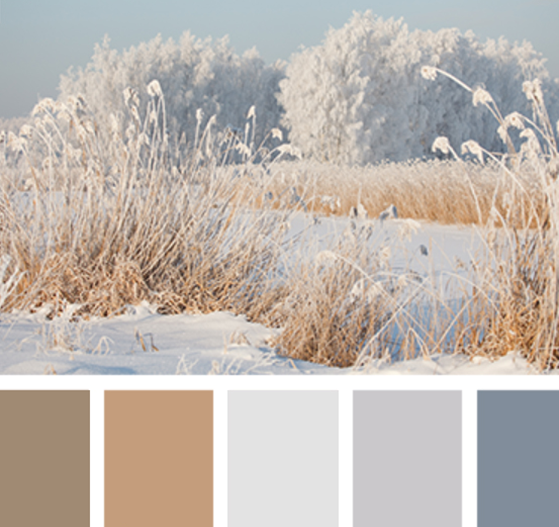 跃层空间,成长型家居设计-20