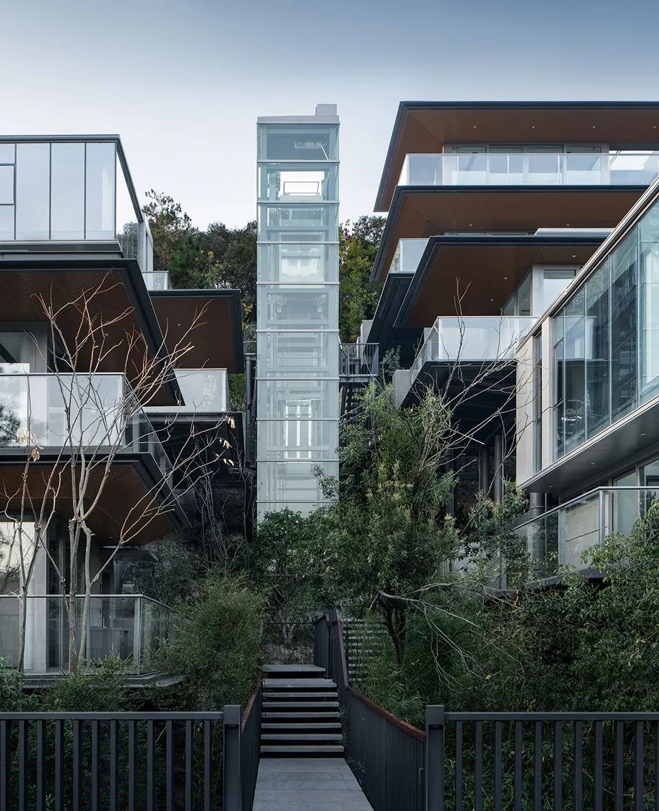 郡安里丨中国浙江丨gad-52