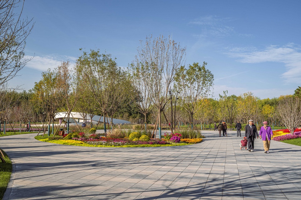 花漾之境:北小河公园樱花谷环境改造提升设计丨中国北京丨埊木设计（CAFA·A城市艺术创新中心）-18