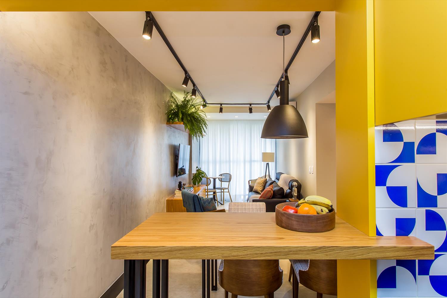 巴西圣保罗都市丛林风格公寓设计-5