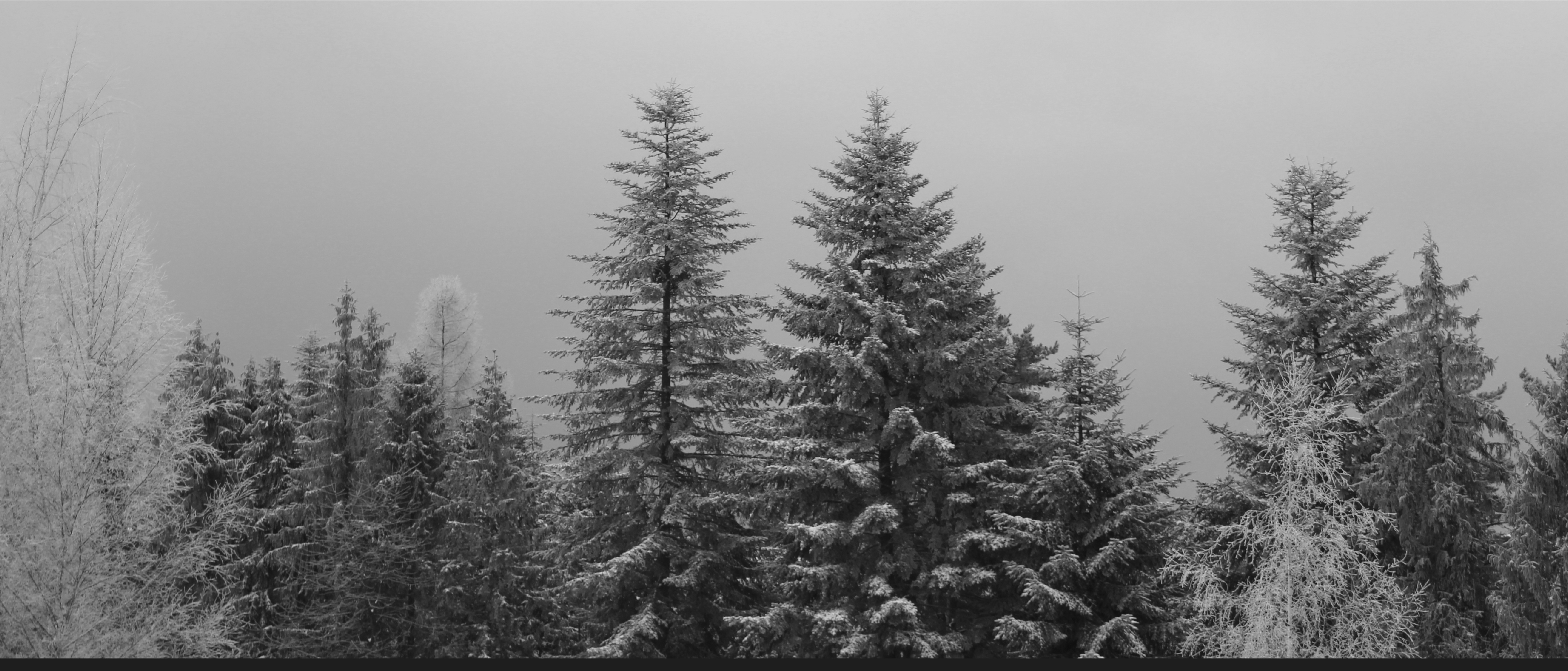 景观公园桥梁-13