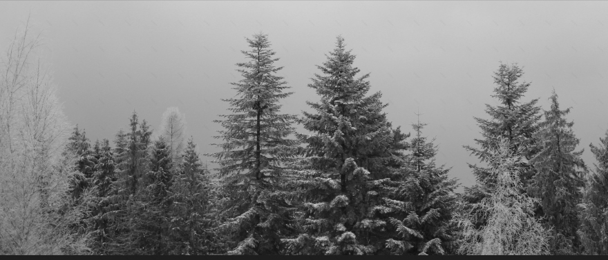 景观公园桥梁-13