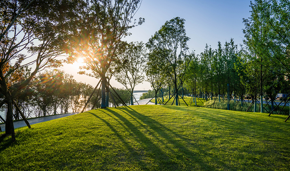 长沙金霞风光带及鹅山公园丨中国长沙丨L&A设计集团上海分公司-44