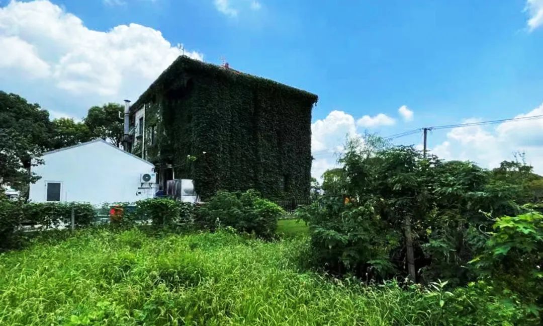 稻香、花香、咖啡香-与田园小镇共生的旅游规划设计-9