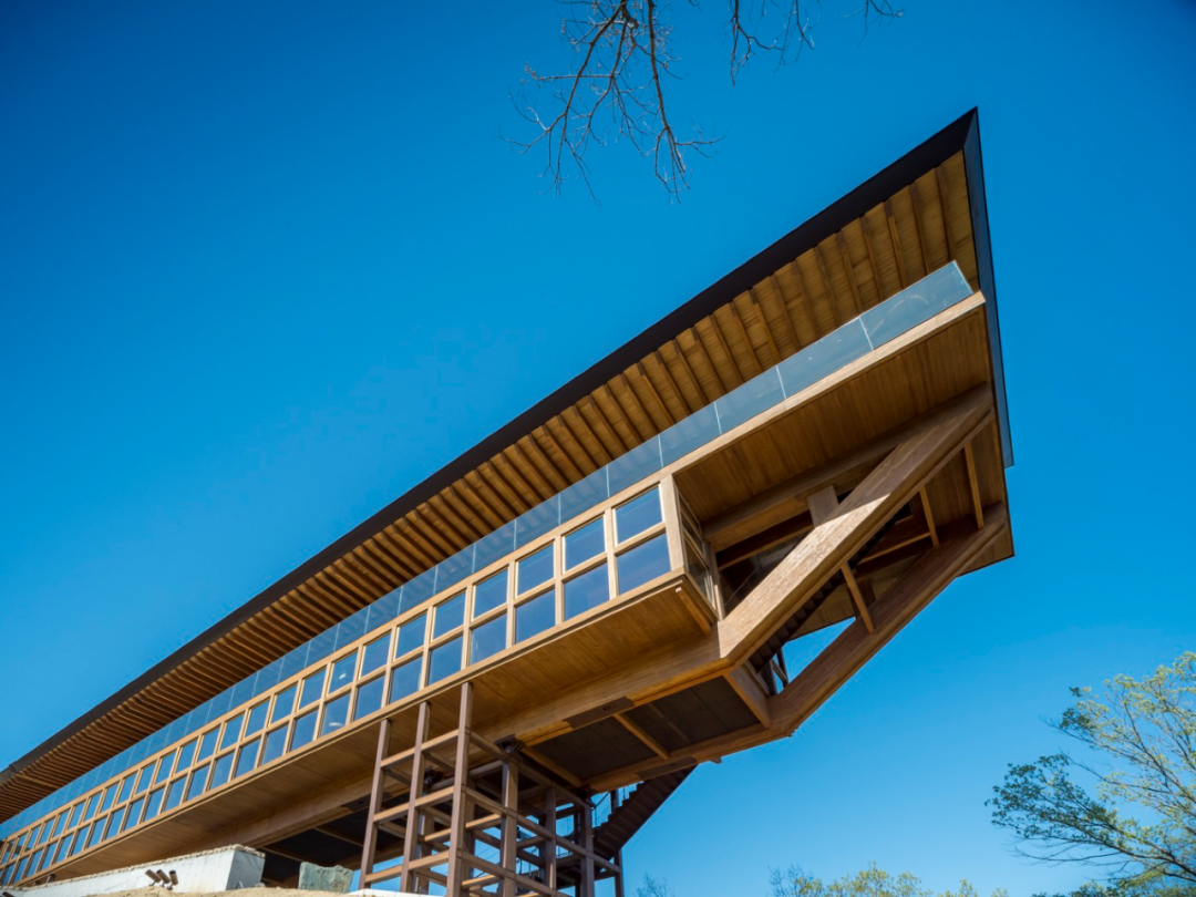 禅意空间 · 坂茂悬浮森林木结构禅修场丨日本兵库-34