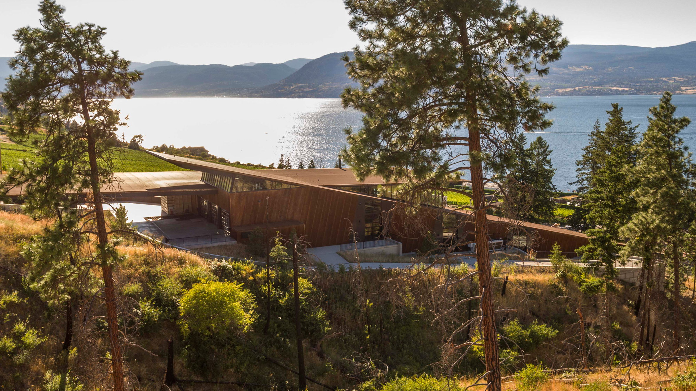 Olson Kundig embeds gravity-flow winery into British Columbia hillside-0
