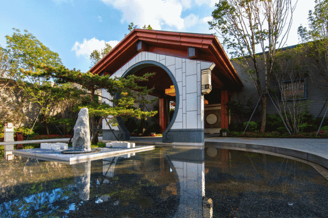 西迪国际景观中心春茗会-110