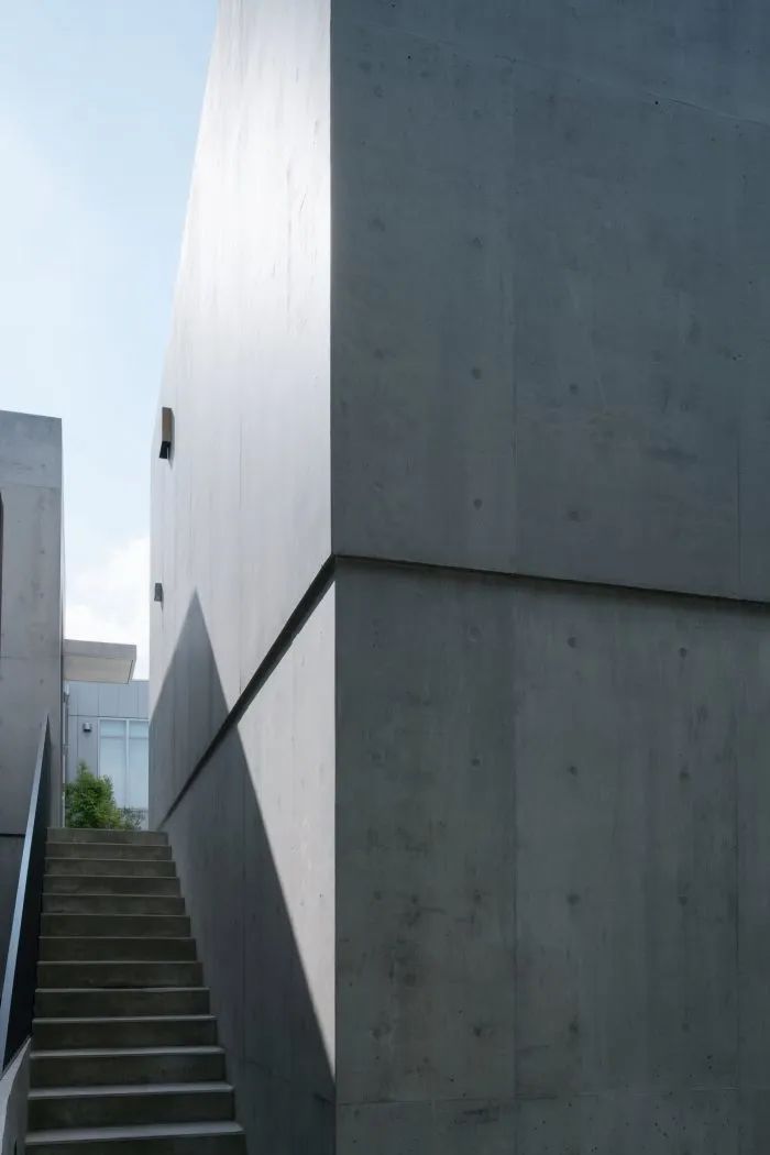 东京原宿“弥撒”美术馆丨日本东京丨Nobuo Araki,The Archetype-19