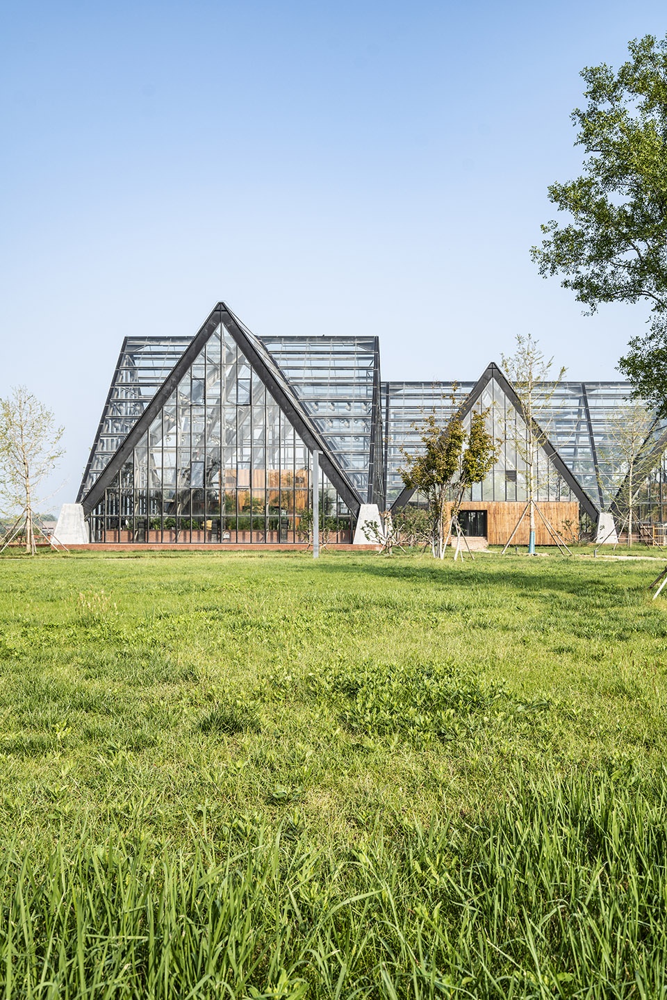 衡水植物园温室展览馆丨中国河北丨空格建筑-28