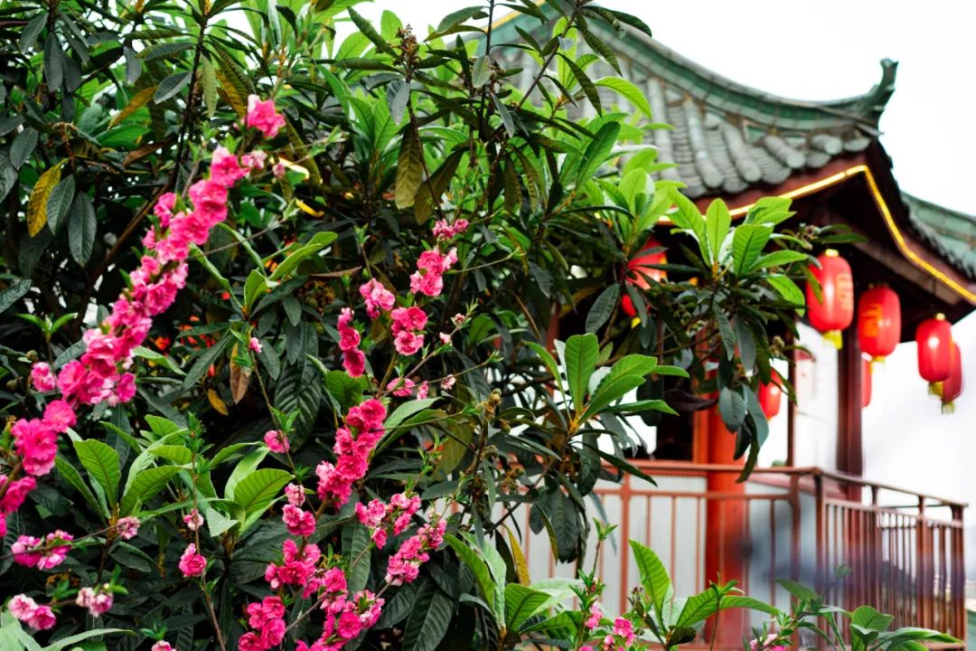 绿意盎然，火锅心情——自然环境对火锅体验的影响-17