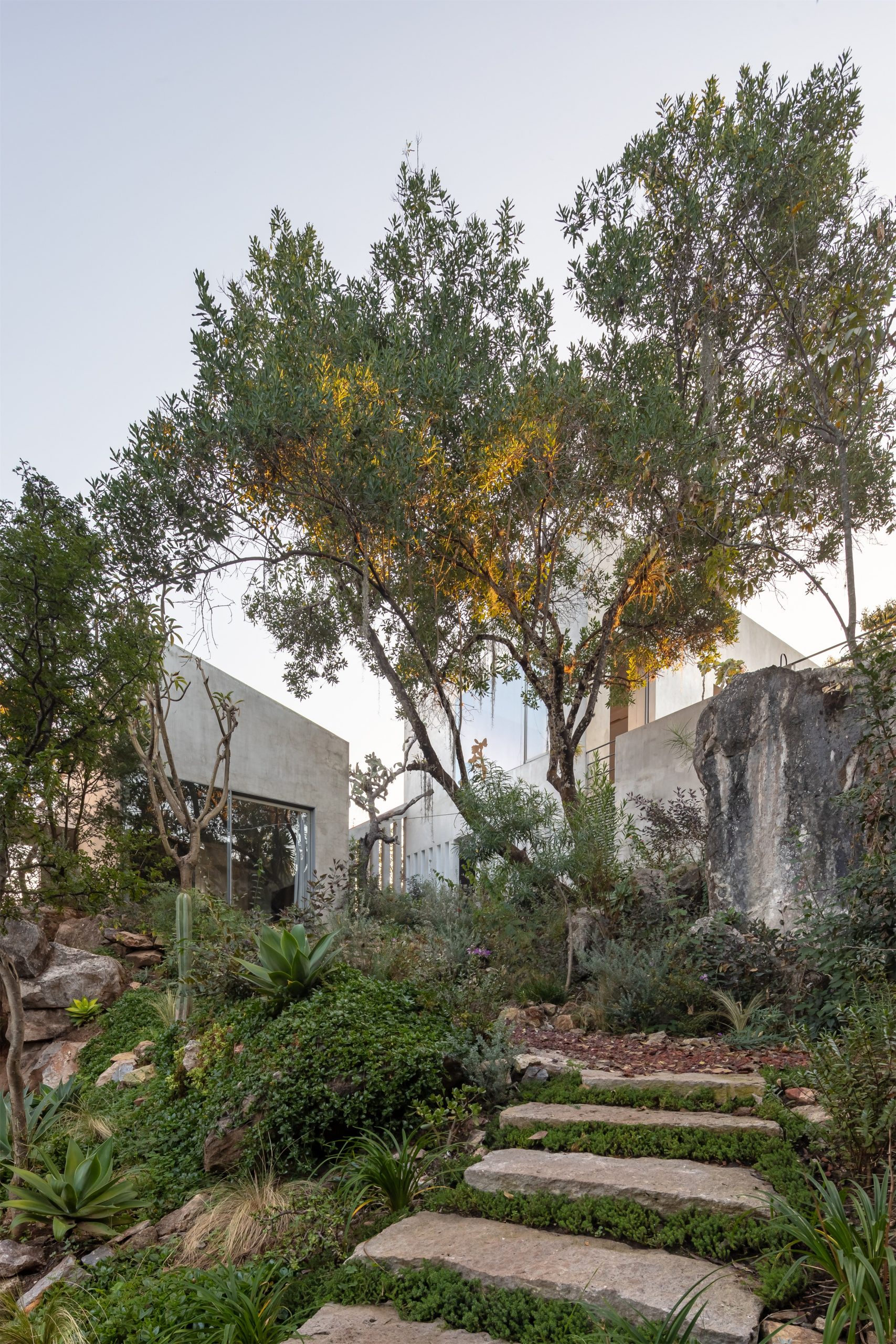 拉斯罗卡斯丨墨西哥丨Ignacio Urquiza y Ana Paula de Alba-14