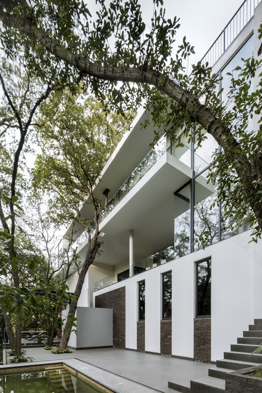 墨西哥森林中的自然之家-2