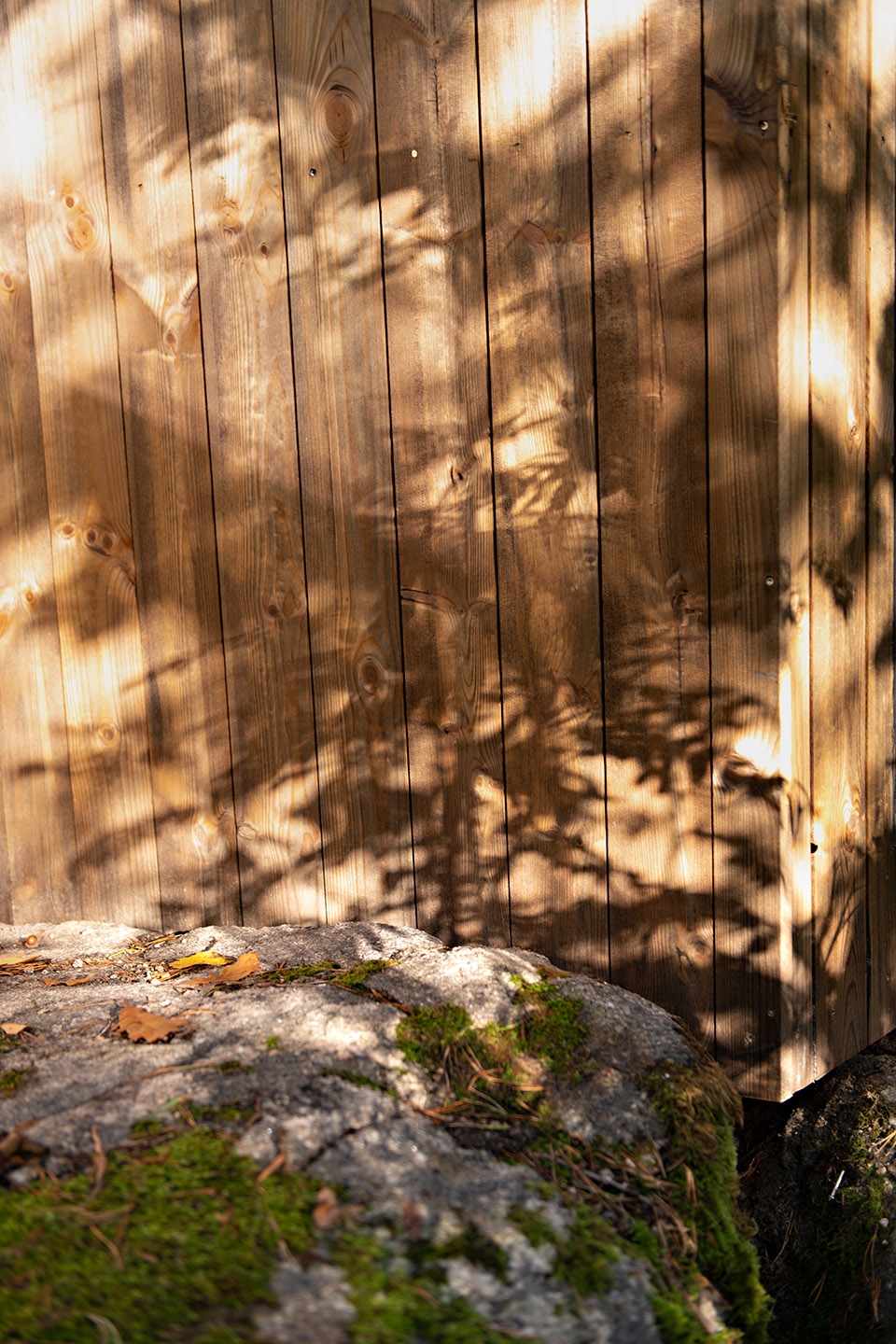 Outdoor Care Retreat（户外疗养院）-42