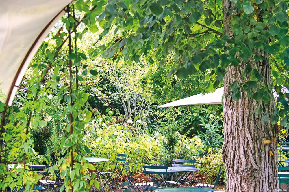 Domain of Chaumont-sur-Loire and International Garden Festival - France-13