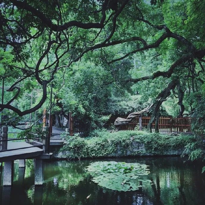 造园于心 | 苏州园林的人品与艺术-35